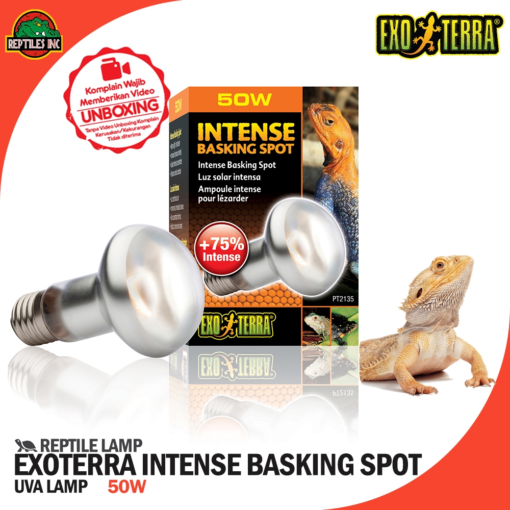 Jual Exoterra Intense Basking Lamp Lampu UVA Lampu Reptil