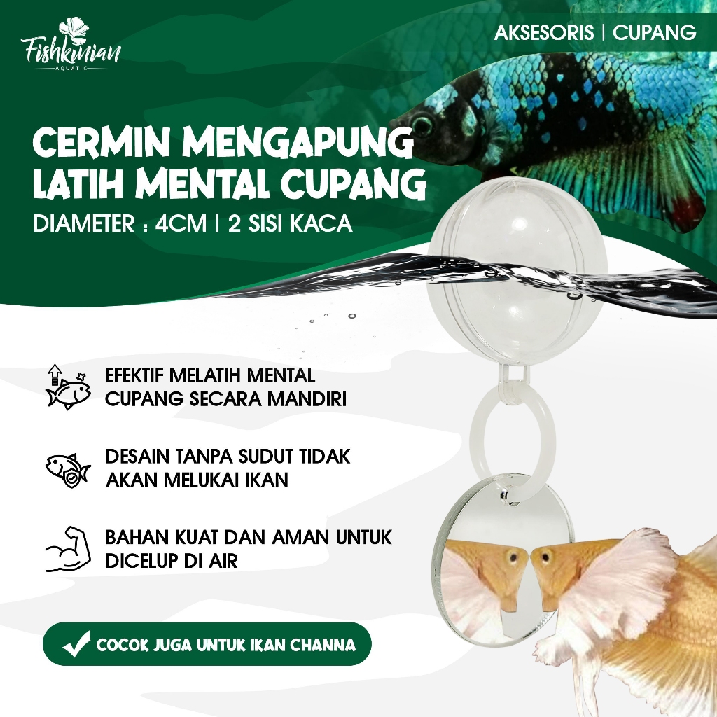 Jual Fishkinian | Cermin Mengapung - Untuk Melatih Ikan Cupang Ngedok ...