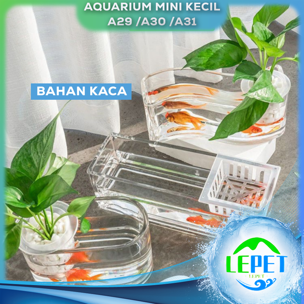 Jual Lepet Aquarium Mini Kecil A A A Akuarium Ikan Cupang