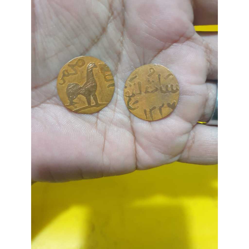 Jual 𝗠𝗮𝗸𝗮𝘀𝘀𝗮𝗿 𝗱𝗮𝗴𝗮𝗻𝗴 - Koin Ayam Jago / Koin Hoki (Paket Hemat ambil 2