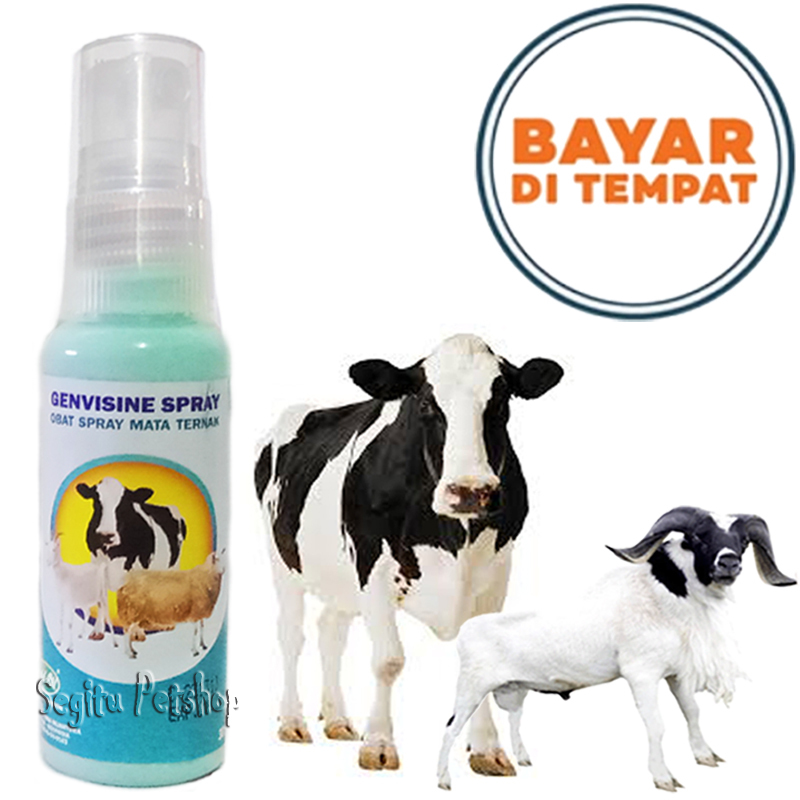 Jual OBAT MATA SAPI SEMPROT IRITASI MERAH BERAIR INFEKSI BENGKAK ...