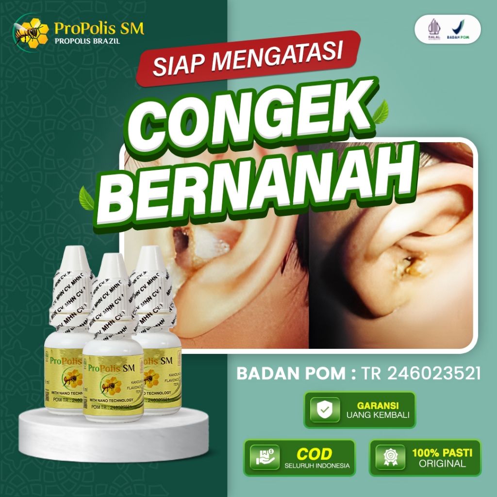 Jual Obat Congek Bernanah Curek Berair Gendang Telinga Sakit Berdengung ...