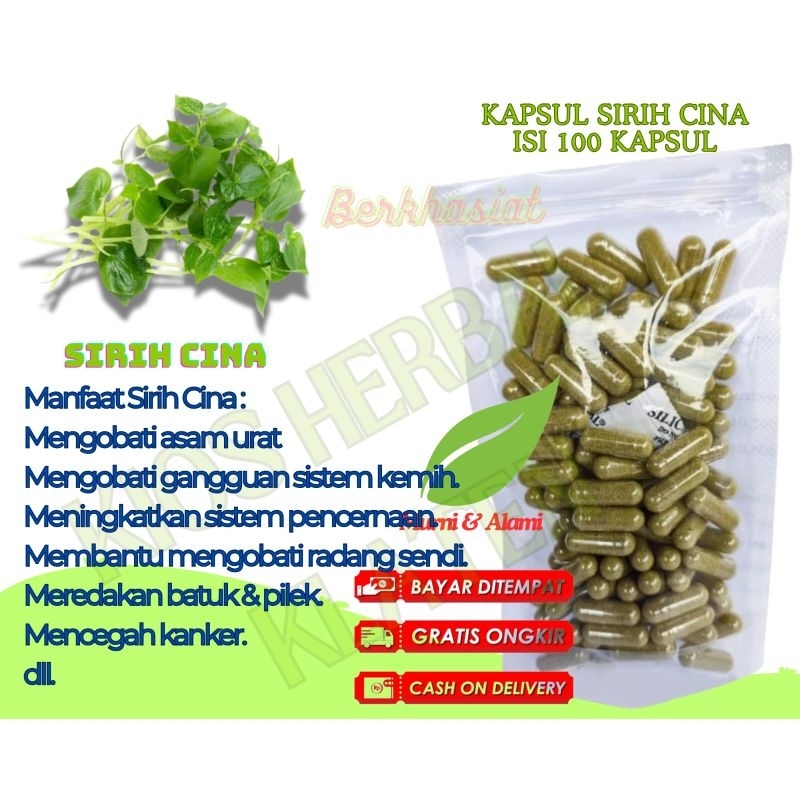 SIRIH CINA/KETUMPANG AIR/SURUHAN Kapsul isi 100 kapsul untuk nyeri sendi asam urat