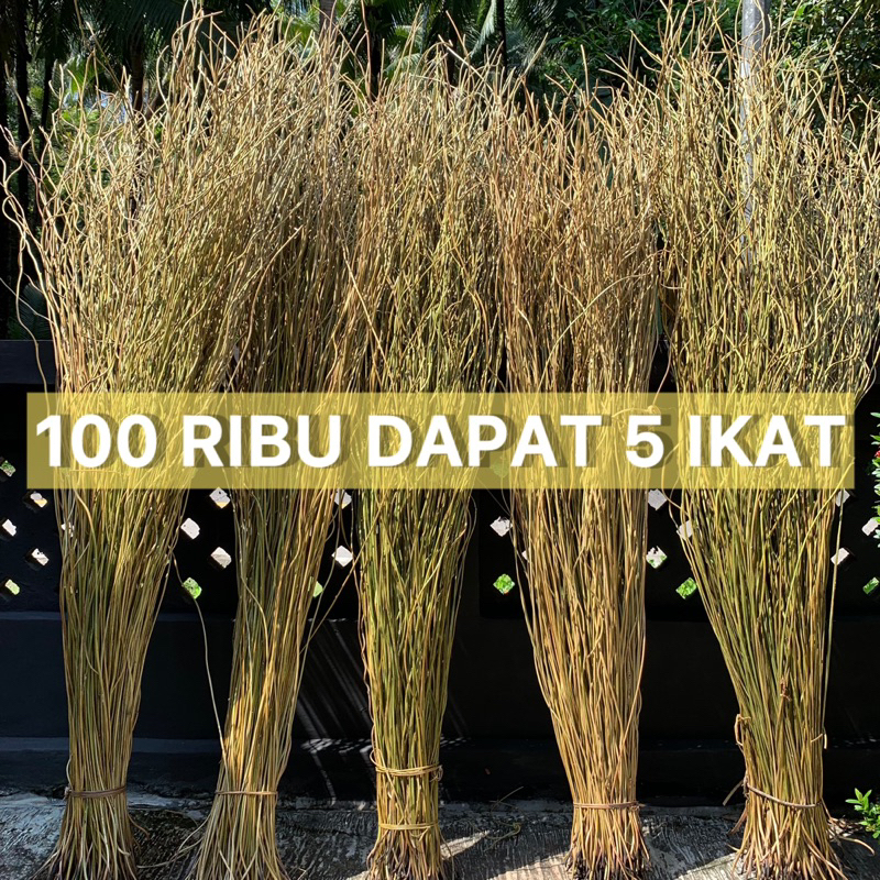 Jual 100 RIBU DAPAT 5 IKAT AKAR MANON SUPER PANJANG 160 CM | Shopee ...