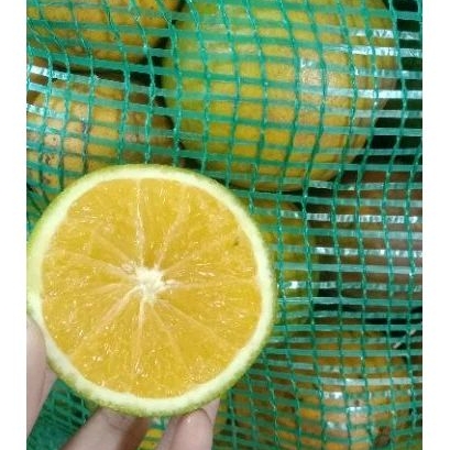Jual Buah Jeruk Manis Baby Java Malang, Berat 5kg, sampai 40kg | Shopee ...