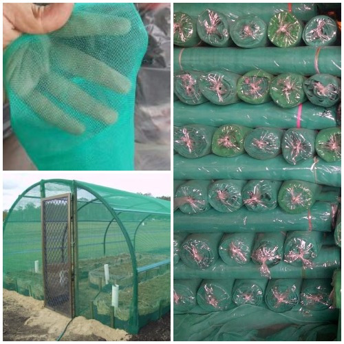 Jual Jaring Serangga / Jaring Kasa Hijau / Insect Net / Jaring Karamba ...