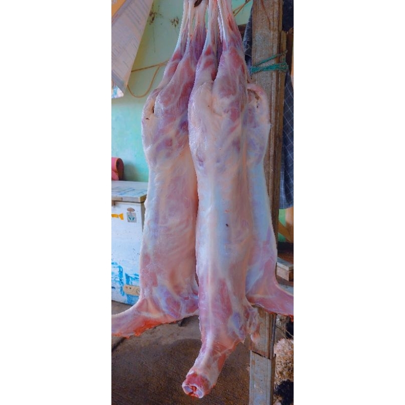 Jual KARKAS KAMBING/DOMBA MUDA SEGAR | Shopee Indonesia