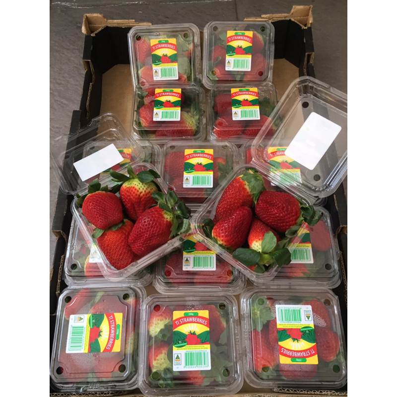 Jual Strawberry / Buah Strawberry Australia 1 Dus (15 Pack) Fresh ...