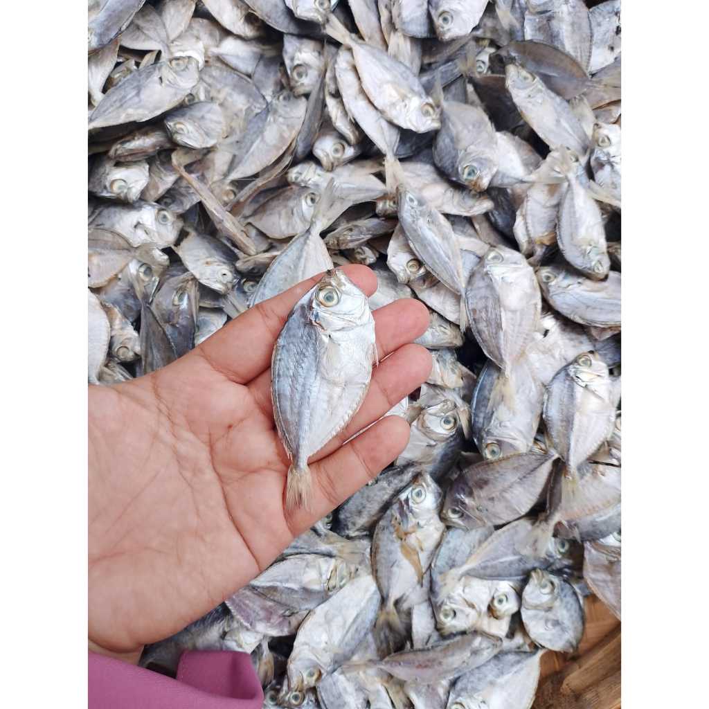 Jual Ikan asin petek / ikan asin pirik / ikan dodok kering | Shopee ...