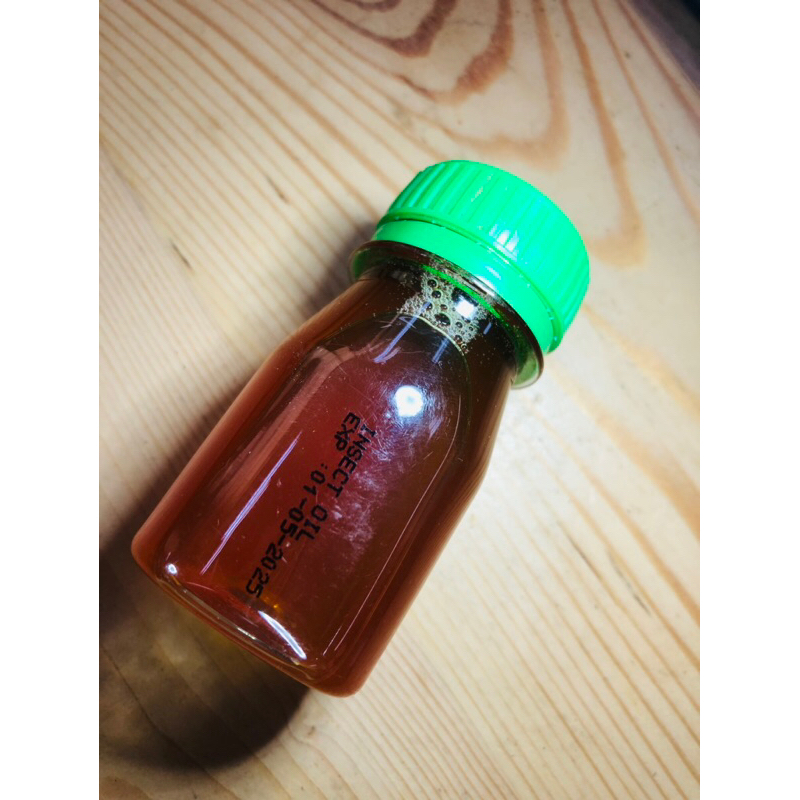 Jual Minyak maggot BSF / Insect Oil 1 Liter / 1 kg | Shopee Indonesia