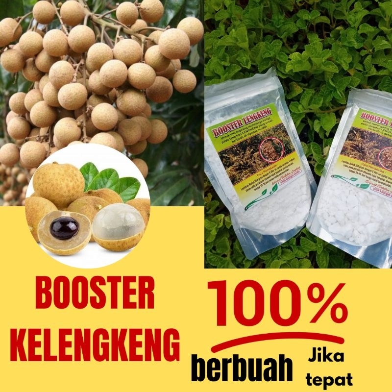 Jual Booster Kelengkeng New Kristal, Booster Kelengkeng Nusantara ...