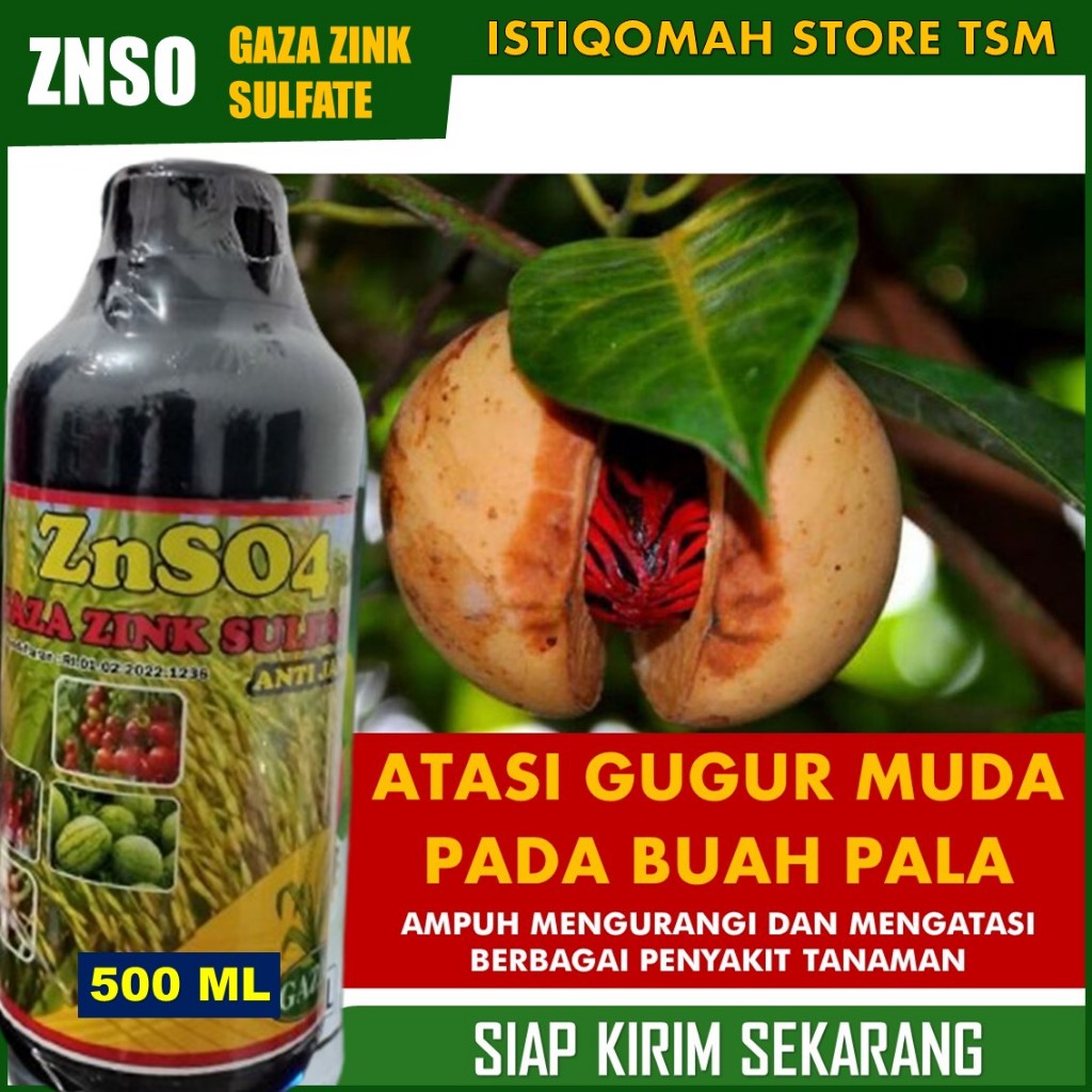 Jual OBAT RONTOK MUDA PADA BUAH PALA Terbaik isi 500 ML - ZNSO4 Pupuk ...