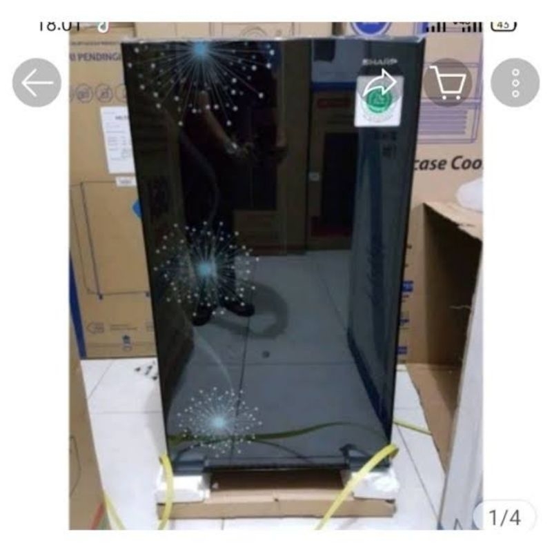 Jual Kulkas Sharp 1 pintu 167mg garansi resmi sharp kulkas 1 pintu