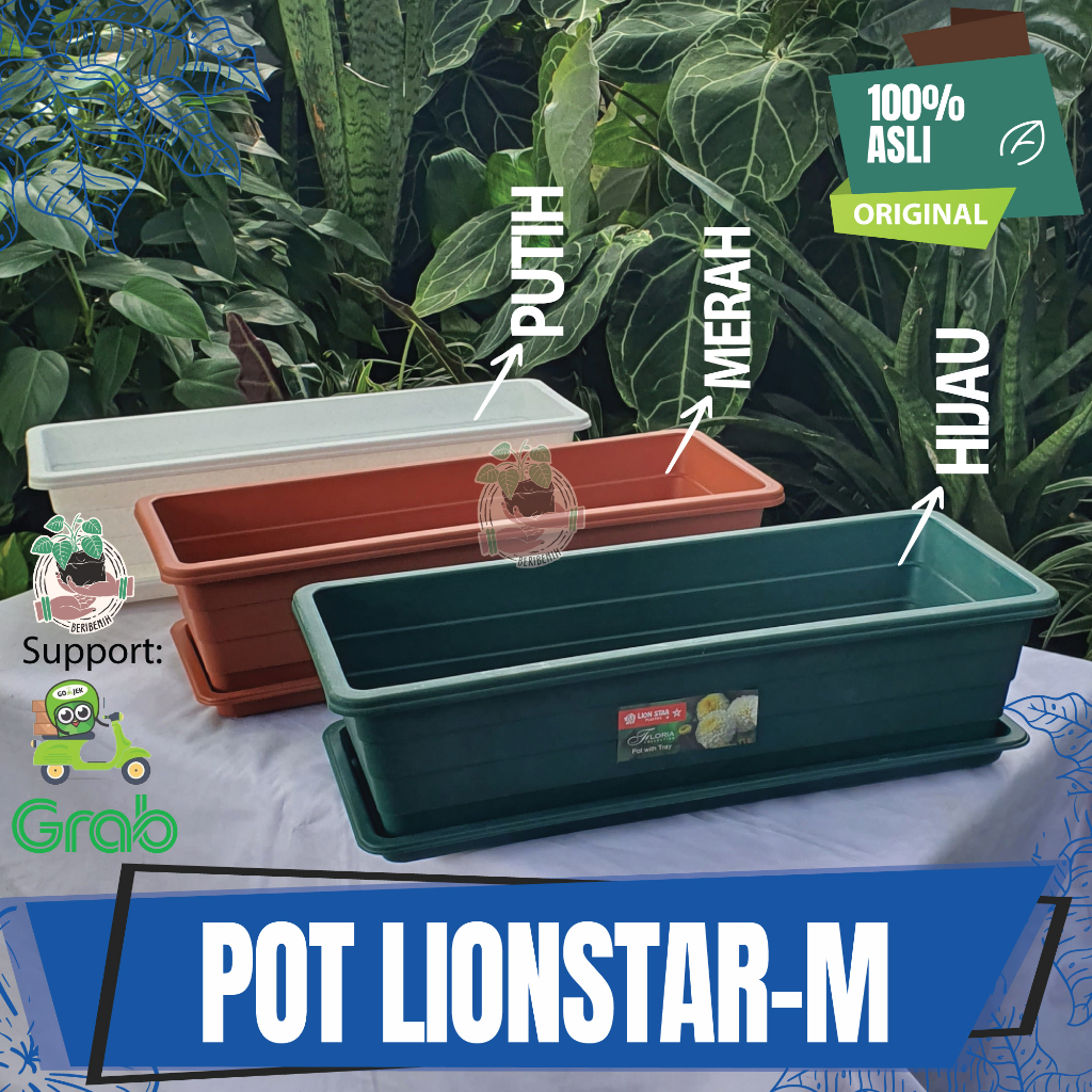 Jual Pot Panjang Lion Star Trivetto M Pot Bunga Tanaman Hias Kotak ...