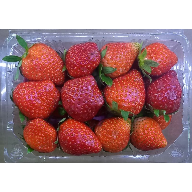 Jual Buah straberry perpics | Shopee Indonesia