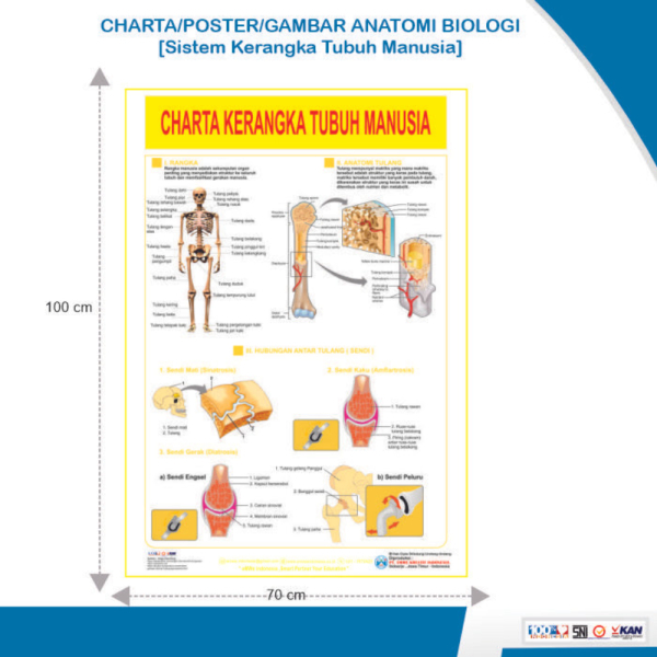 Jual Chartagambarposter Kerangka Tubuh Manusia Shopee Indonesia