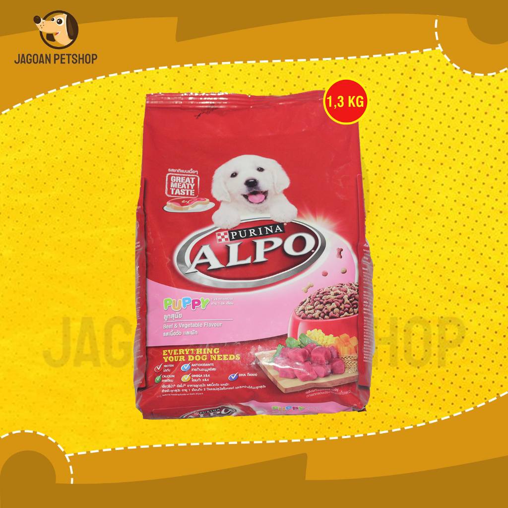 Alpo Lapso Puppies: Lhasa Apso For Sale – LTAX