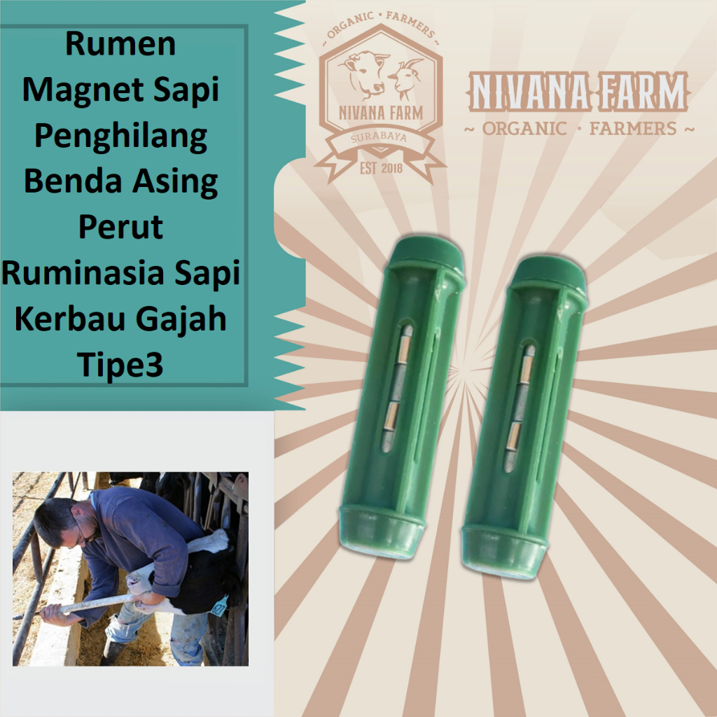 Jual Rumen Magnet Sapi Penghilang Benda Asing Perut Ruminasia Sapi ...