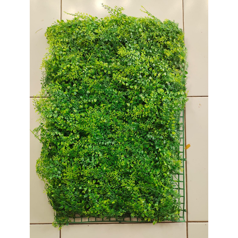 Jual GROSIR DAUN RAMBAT PAKIS RAPAT DAN PADAT UKURAN 40X60 CM UNTUK ...