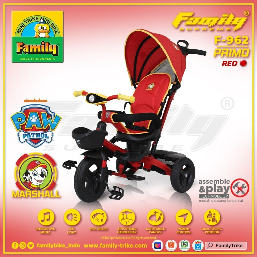 Mini trike mini bike family outlet
