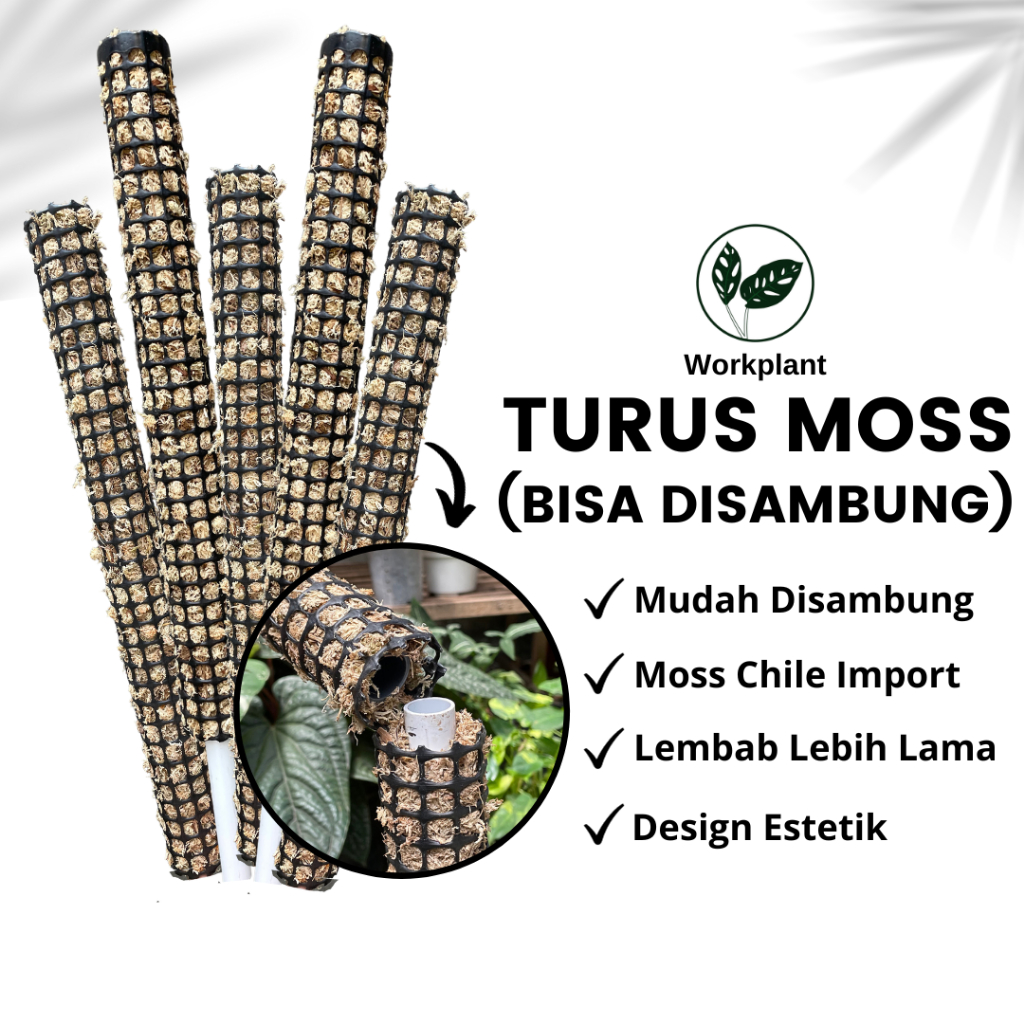Jual Workplant - Turus Moss Bisa Disambung Untuk Penyangga Dan Rambatan ...