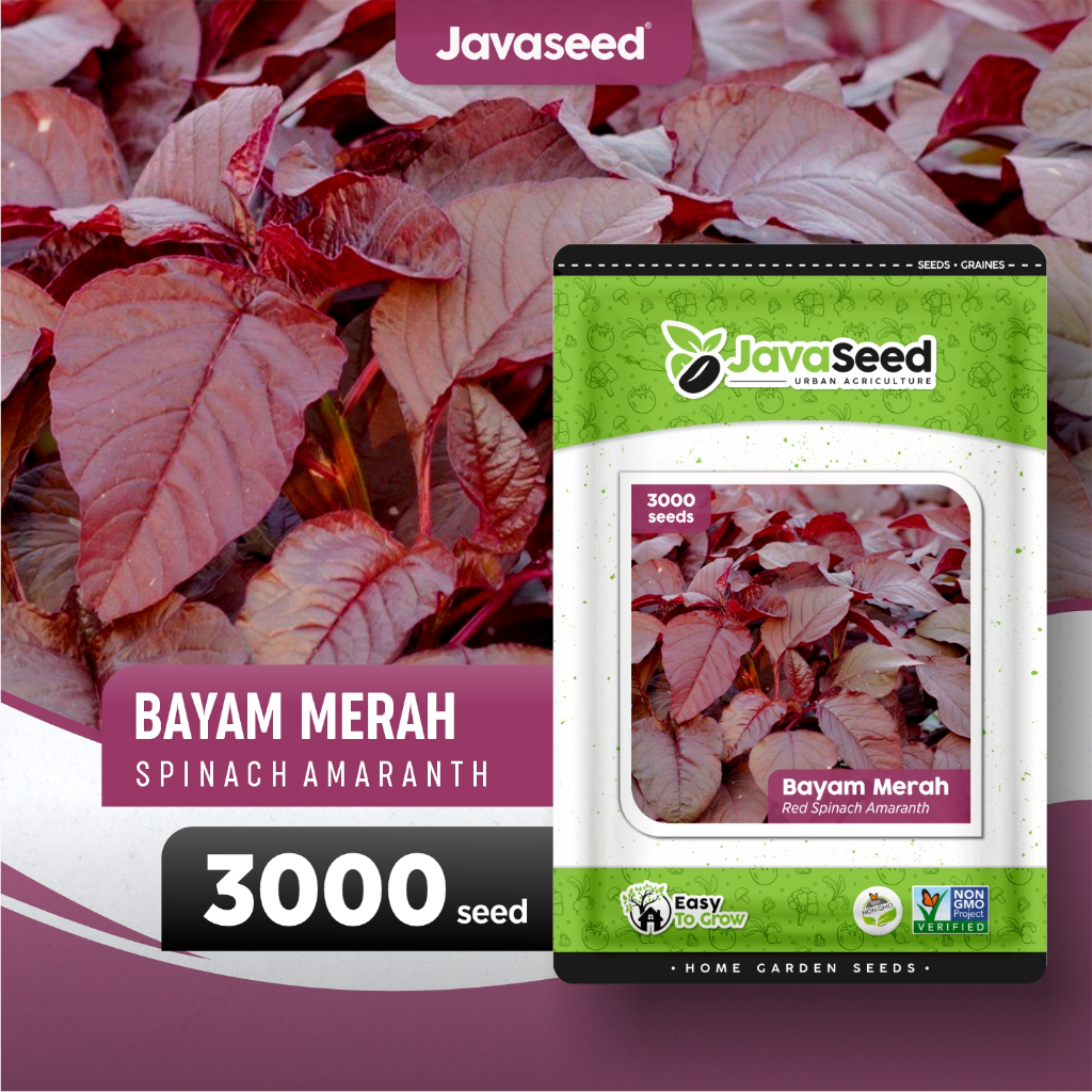 Jual JAVASEED - Benih Bayam Merah Red Amaranth Spinach 3000 Benih ...