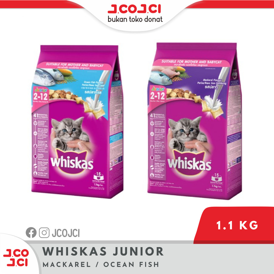 Jual Whiskas Junior Dry Food 1.1 kg All Variant Shopee Indonesia
