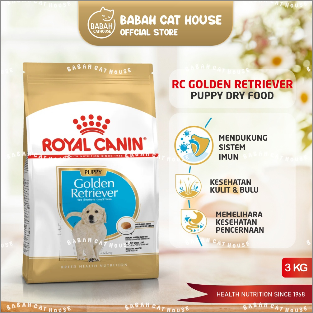 Dog food best sale untuk golden retriever