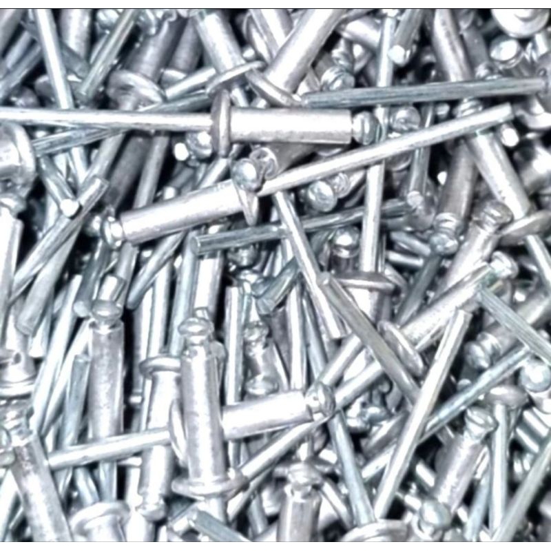 Jual Paku Rivet Rivetti 550 size 4mm x 12.7mm isi 1000 pcs | Shopee ...