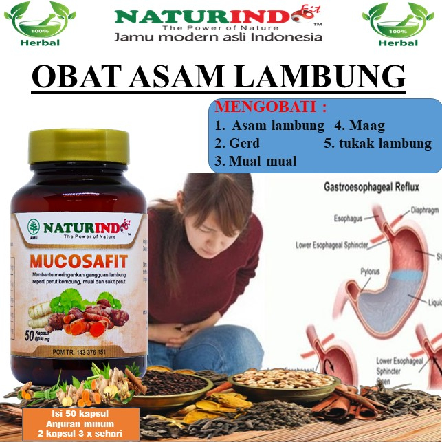 Jual Obat Asam Lambung Kronis Gerd Maag | Shopee Indonesia