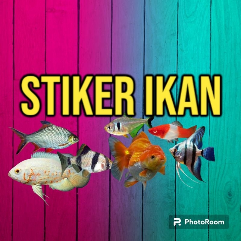 Jual STIKER IKAN VARIAN 5K-35k | Shopee Indonesia