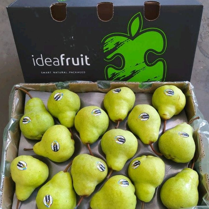 Jual Pear Packham Shopee Indonesia 