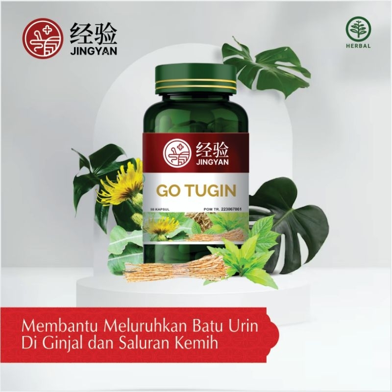 Jual Jingyan Go Tugin Herbal Untuk Batu Ginjal Isk Kemasan 500g Isi 50