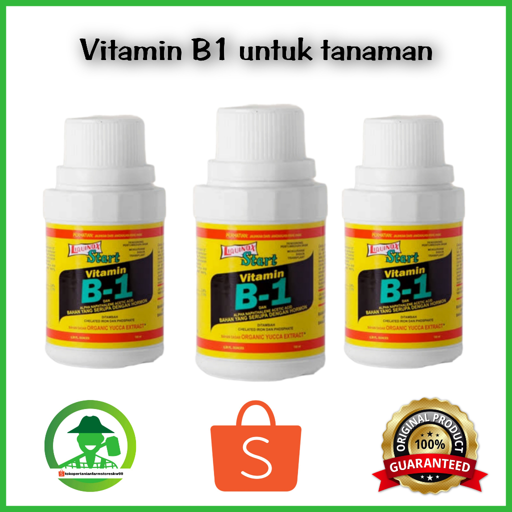 Jual Pupuk Vitamin B1 Liquinox Tanaman Isi 100ml Bunga ZPT Anti Stress ...