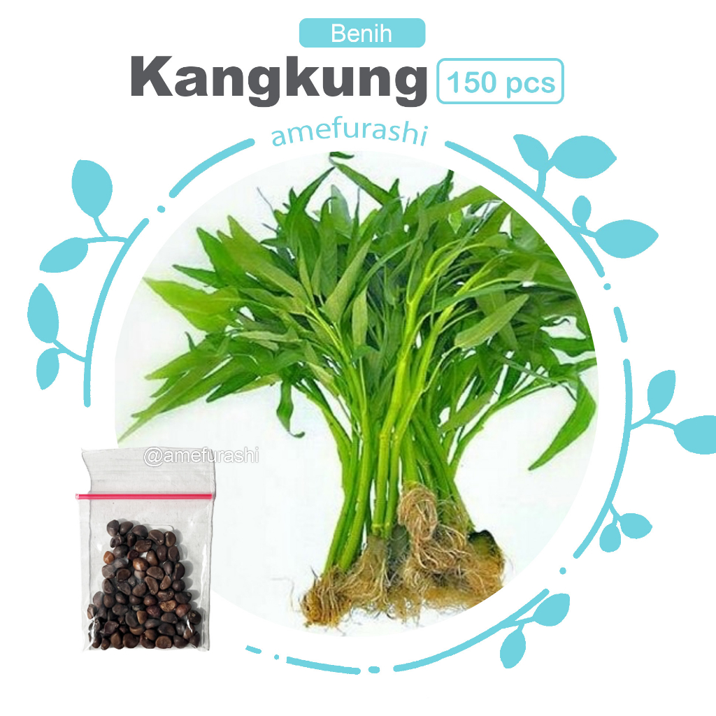 Amefurashi 150 Benih Bibit Biji Sayur Kangkung Eceran Cocok Untuk Dataran Rendah