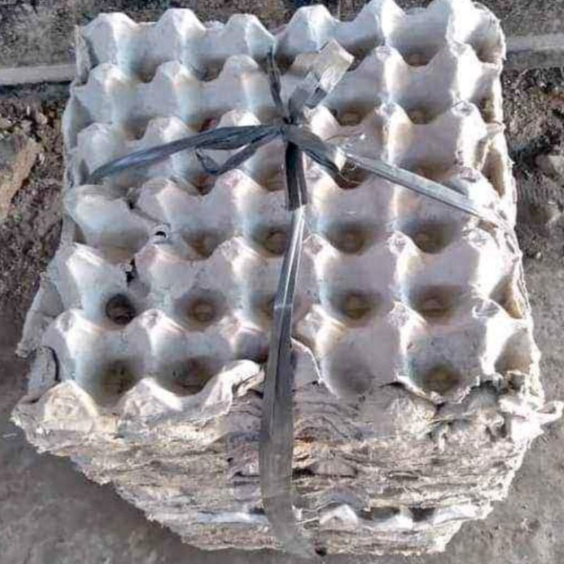 Jual Tray telur / egg tray telur / tempat telur ( bekas tapi layak