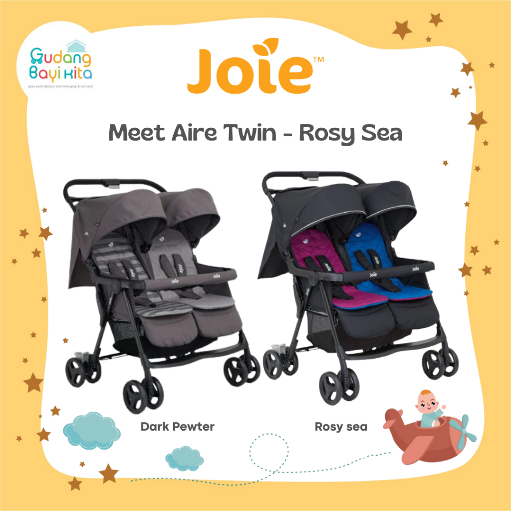 Joie meet hot sale aire twin