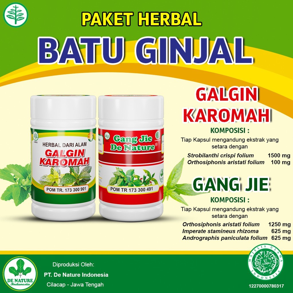 Jual Obat herbal Kencing Batu Batu Ginjal Galgin Karomah Gangjie ...