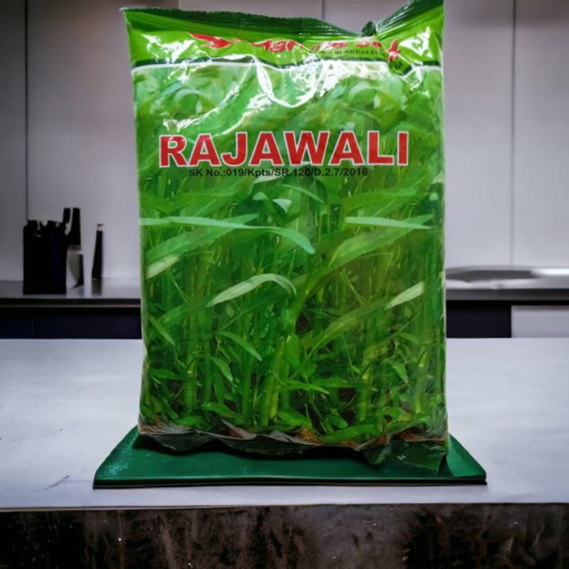 Jual Benih Kangkung Cabut Butir Benih Kangkung Darat Benih Kangkung Hidroponik Shopee