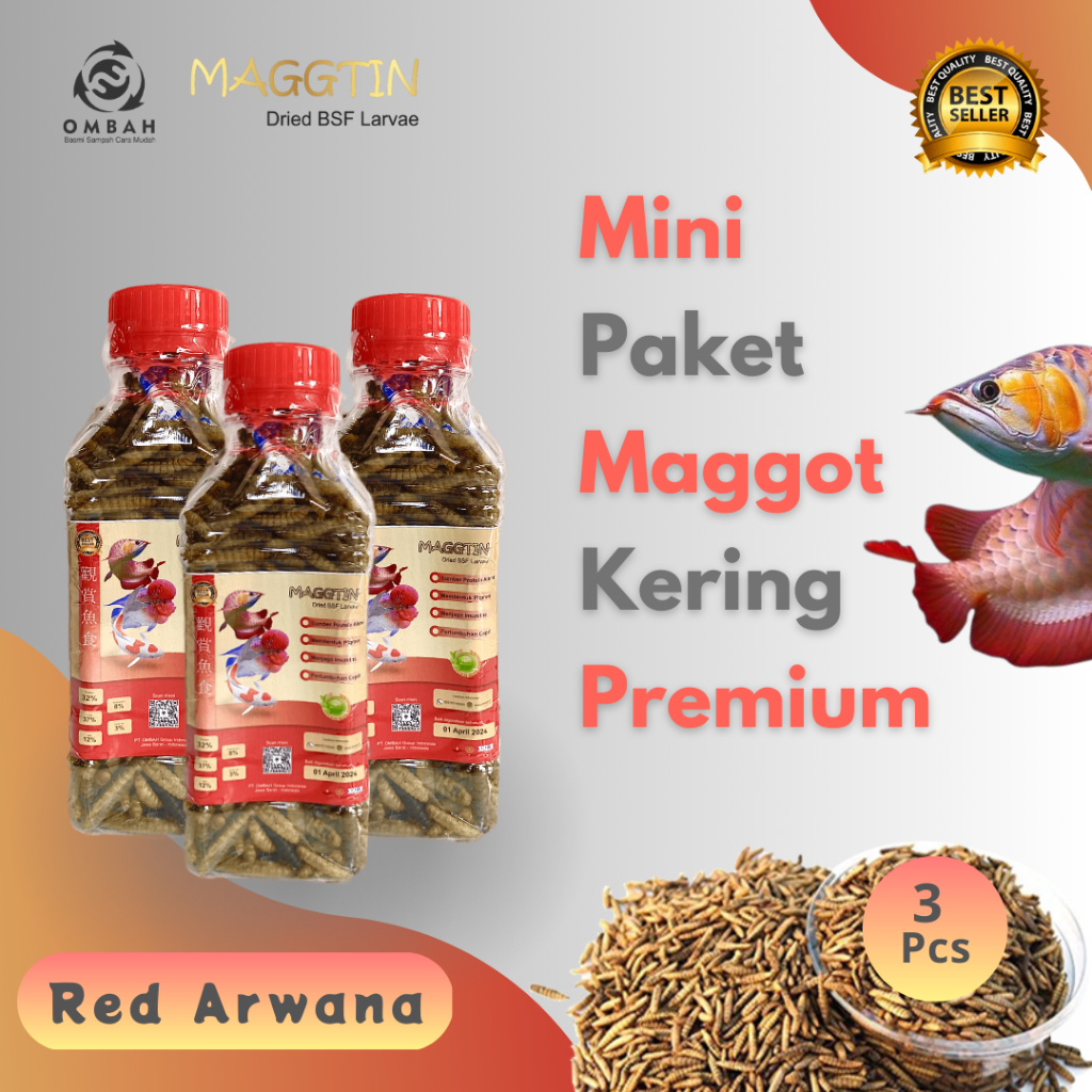 Jual Maggot Kering Kualitas Premium Grade A - Mini Paket- Red Arwana ...