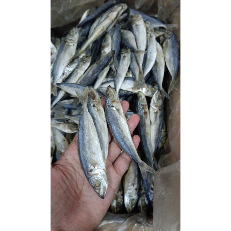 Jual ikan asin japuh 100 gr | Shopee Indonesia