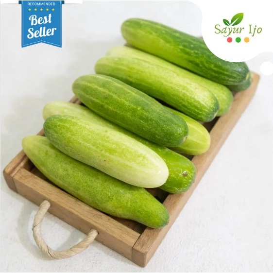 Jual Timun Lokal Besar 500 Gram Fresh Ketimun Lalapan Mentimun Sayur ...