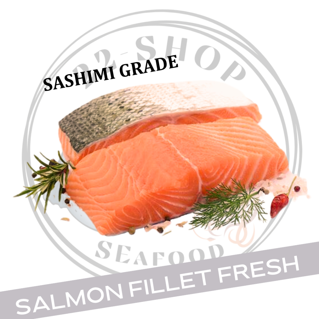 Jual Salmon Fillet Portion Fresh / Sashimi Grade / Trout Norway