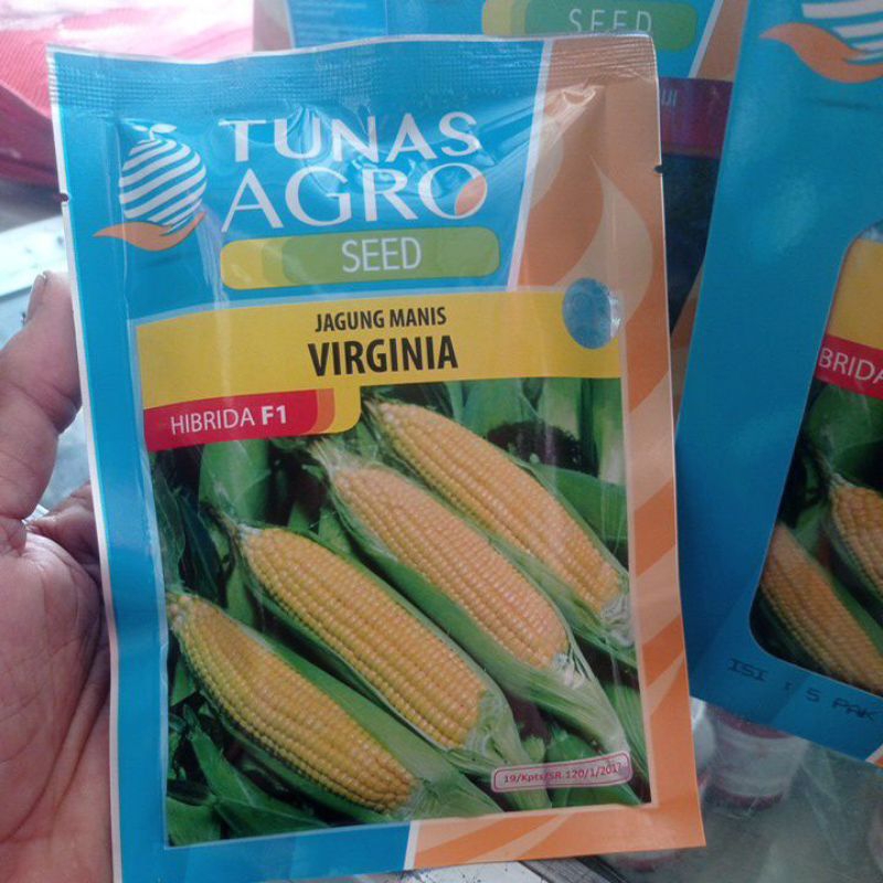 Jual Benih Jagung Manis Virginia F1 Tunas agro 100 gr | Shopee Indonesia