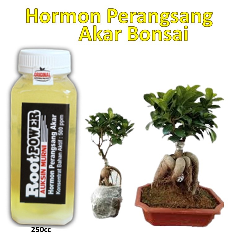 Jual Root Power 250ml Auksin Murni Auksin Perangsang Akar