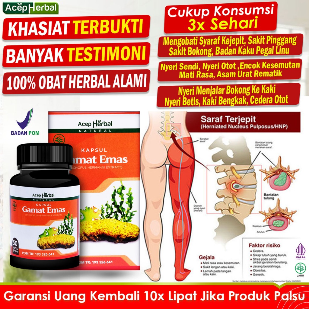 Jual Obat Herbal Saraf Kejepit Sakit Pinggang Nyeri Sendi Asam Urat