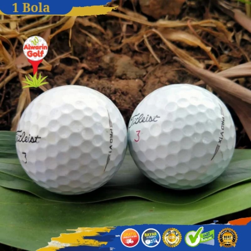 Jual Bola Golf Titleist Pro V1 Pro V1X Grade D Golf Ball Second ...