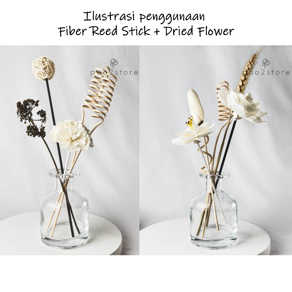 Jual Bunga Reed Diffuser - Sola Flower - Kering / Dried Klobot Wood ...