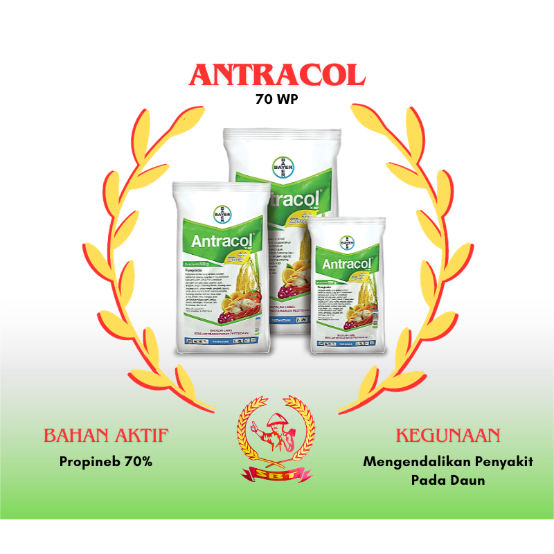 Jual Antracol 70 WP Zinc - 250 gr, 500 gr, 1 kg ( Fungisida ) Obat ...