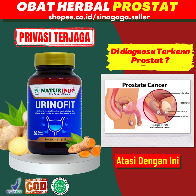 Jual Obat Prostat Infeksi Saluran Kemih Raja Singa Rajasinga Batu